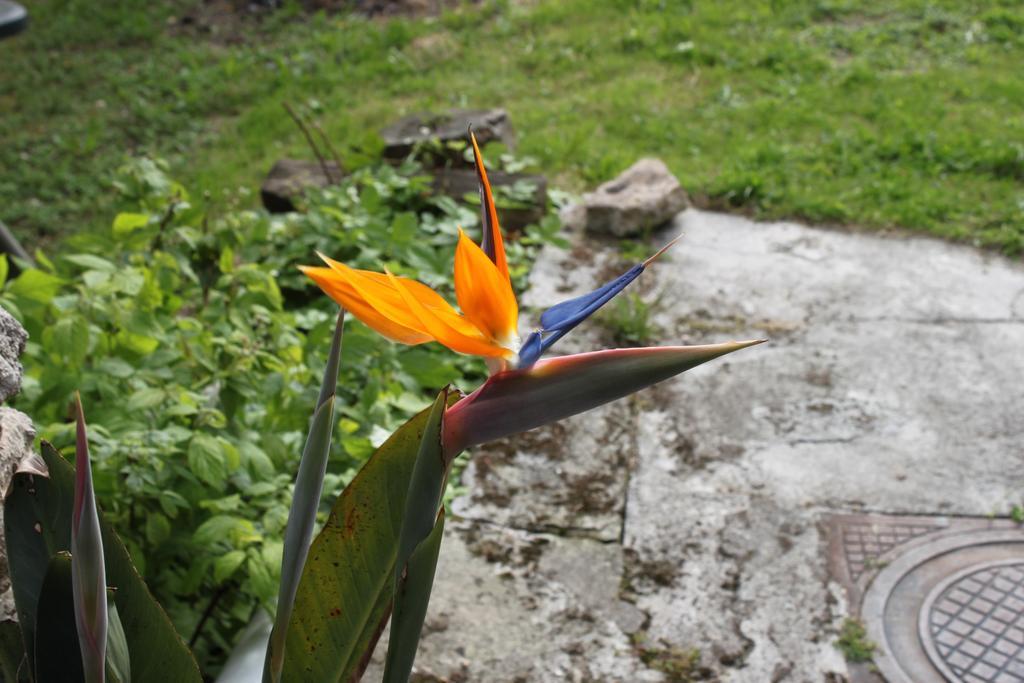 La Eria De Colombres Villa Ruang foto